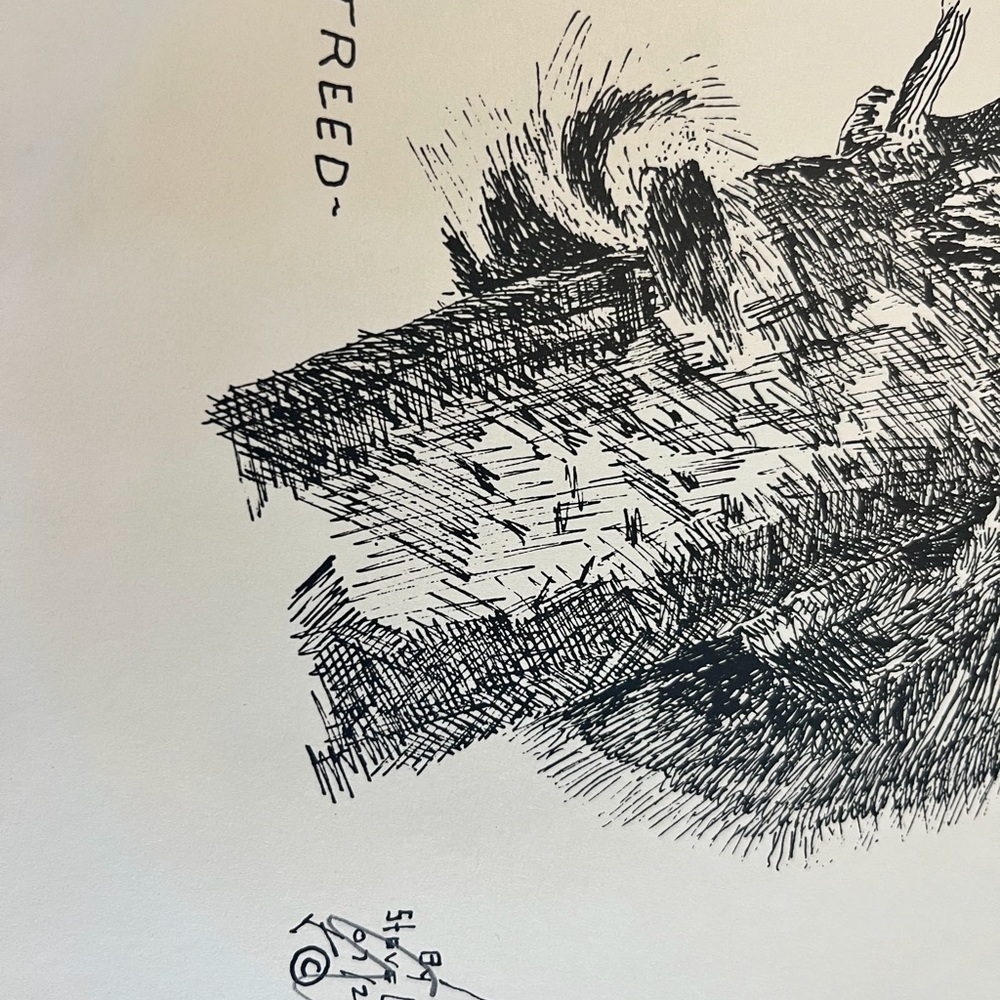 Raccoon Art Print – Signed Ink Drawing by Canadian Artist Steve Carter - Picture 3 of 7